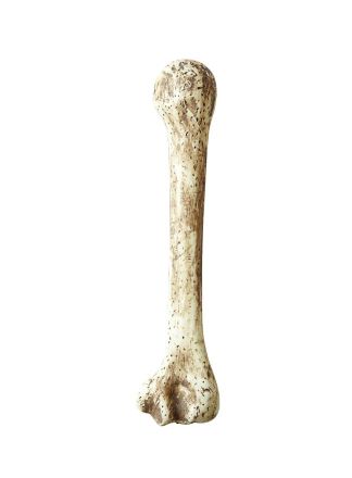 Bot uit stenen tijdperk 39cm.
