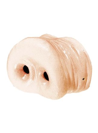Varkensneus rubber met stiek