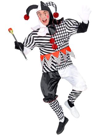 Harlequin kostuum 5dlg.