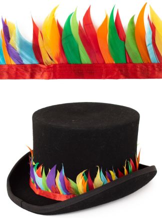 Ganzenveren band regenboog 3mtr.